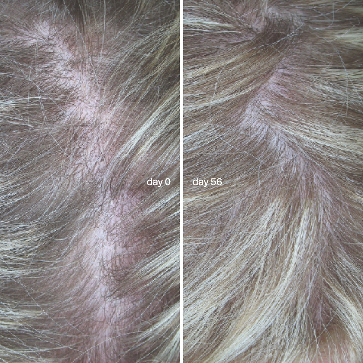 L'Essentiel Cheveux